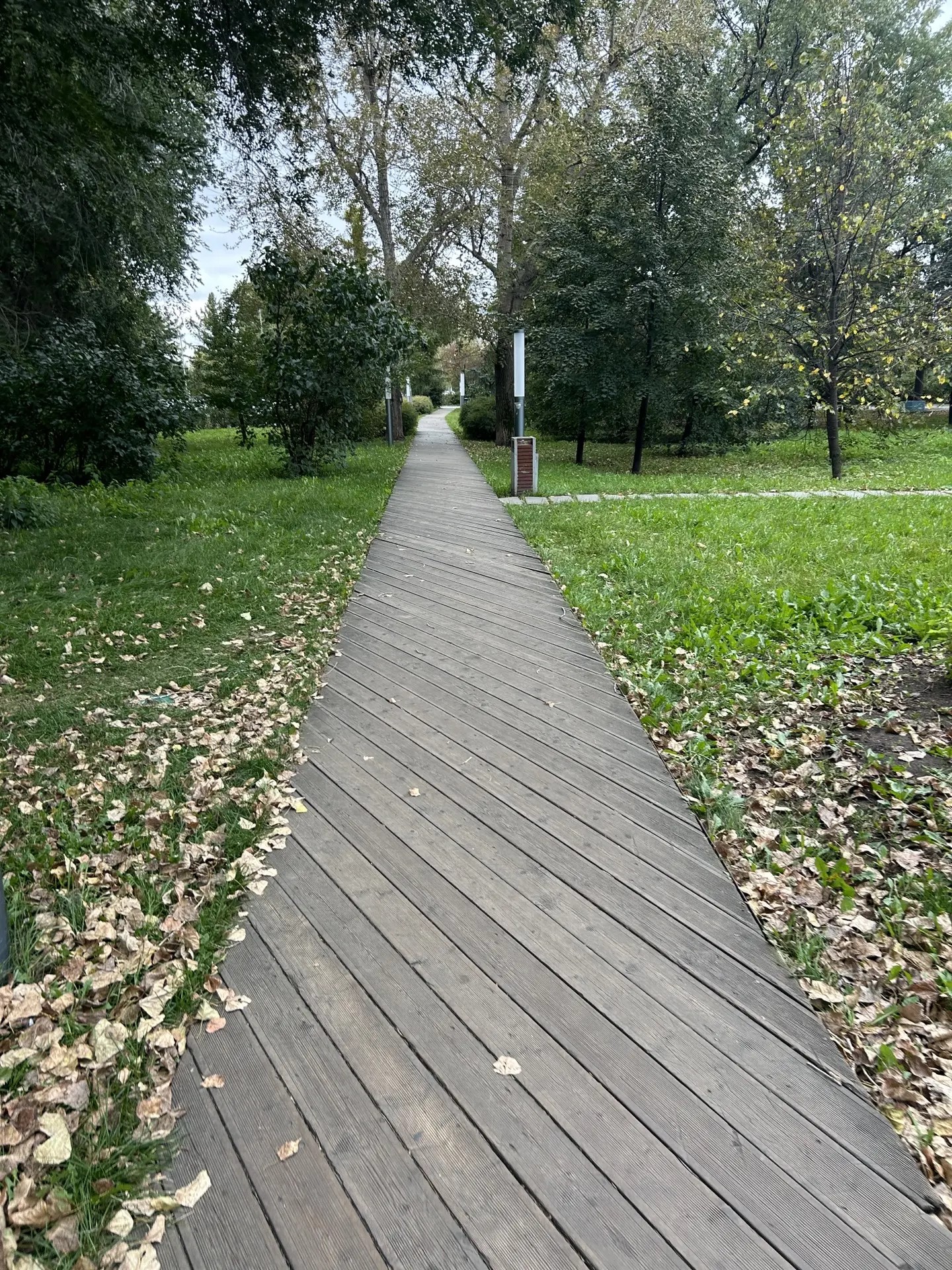 Оксана Бердникова сăнӳкерчӗкӗ.