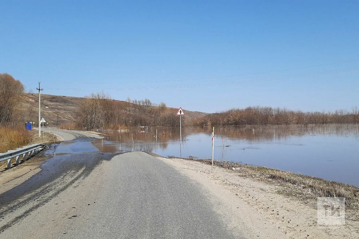 Республикăра шыв шайӗ талăкра 187 сантиметр чухлӗ ӳснӗ