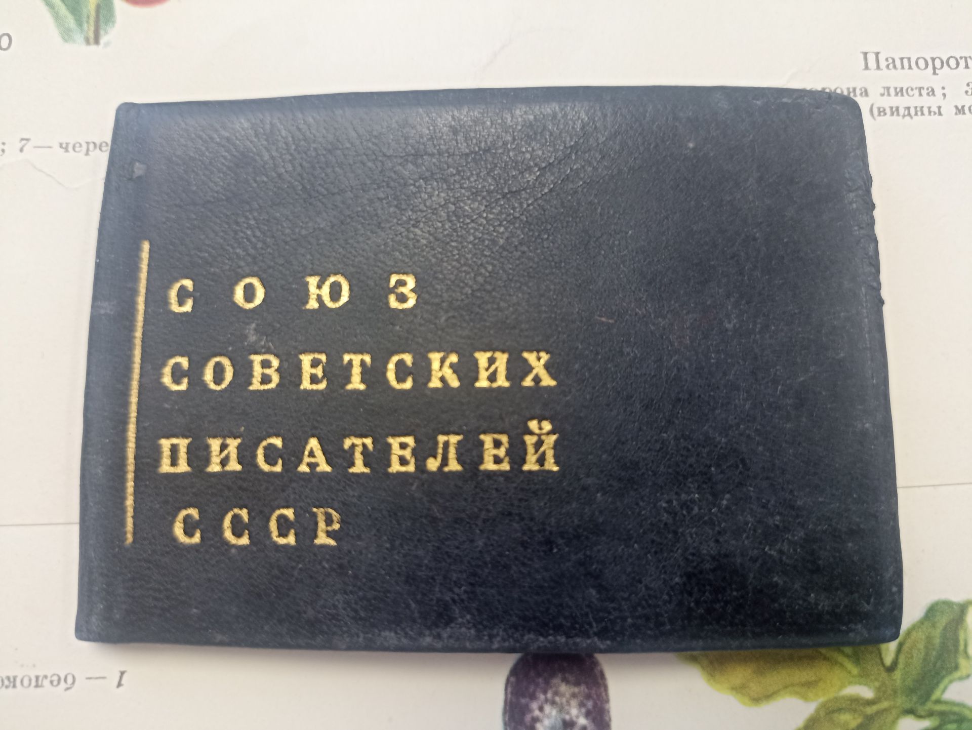 Шелепи – çӗнӗ саманан янкăс юрăçи…