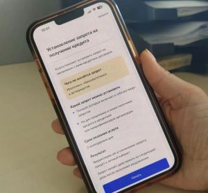 700 пин ытла  çын хăйсене кредит илме чарнă