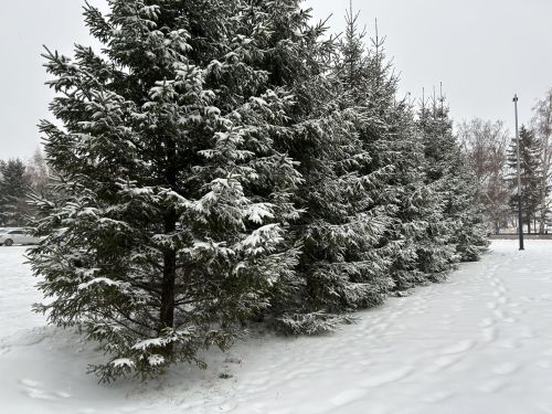 Паян хӗвел аннă самантра шухăшланă ӗмӗт пурнăçланатех
