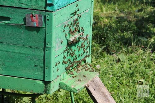 Хурт вӗллисене сентябрь уйăхӗччен регистрацилемелле