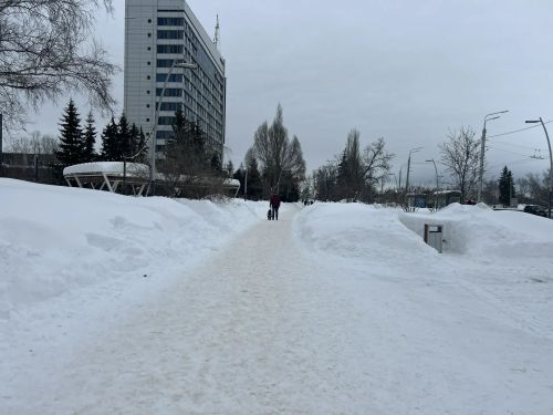 Паянтан сивӗсем йăвашланма пуçлаççӗ