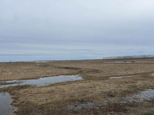 Сывлăхлă пурăнас тесен çак кун çӗнӗ тум туянмалла тет