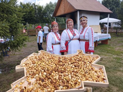 Çарăмсанпа Элкел районӗсенче Уяв иртрӗ