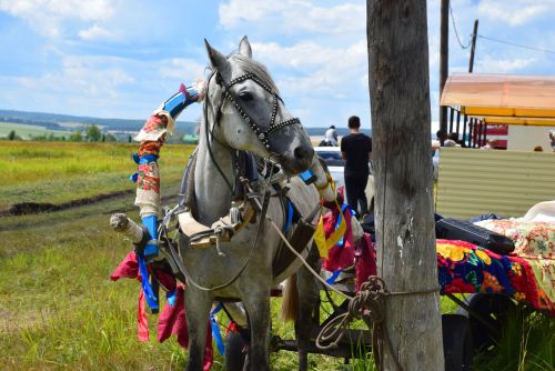 Анат Чакă