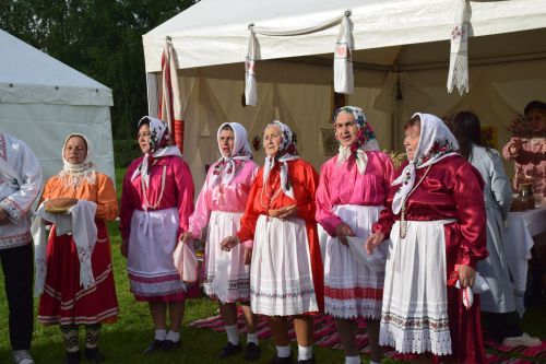 Пурнăç йывăççи
