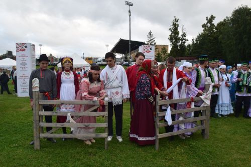 Пурнăç йывăççи