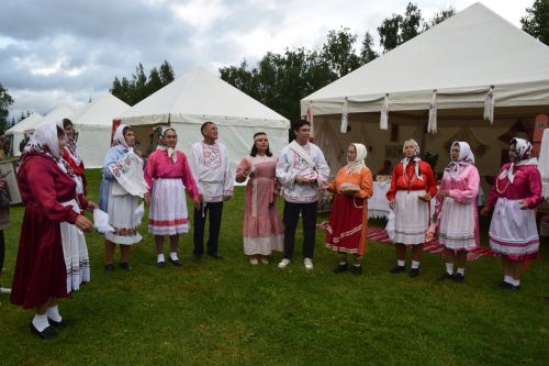 Пурнăç йывăççи