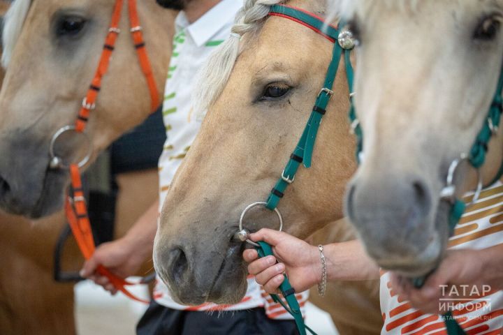 Тутарстанра лаша шутне 1,5 хут ӳстерме тӗллев лартнӑ