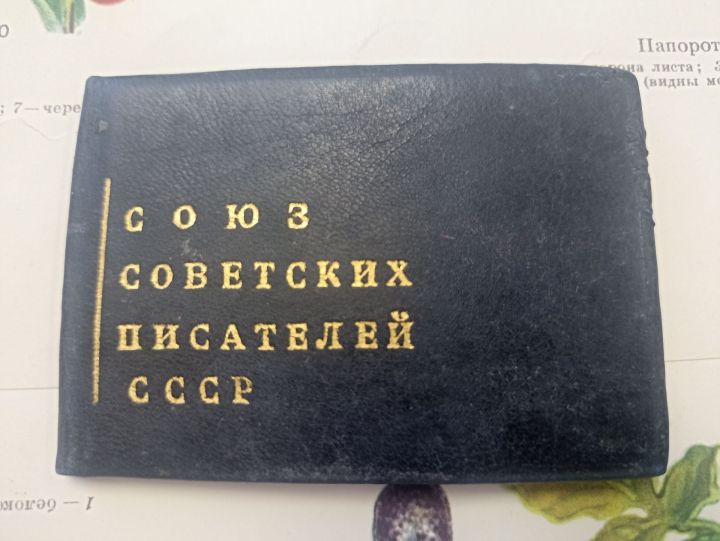 Шелепи – çӗнӗ саманан янкăс юрăçи…