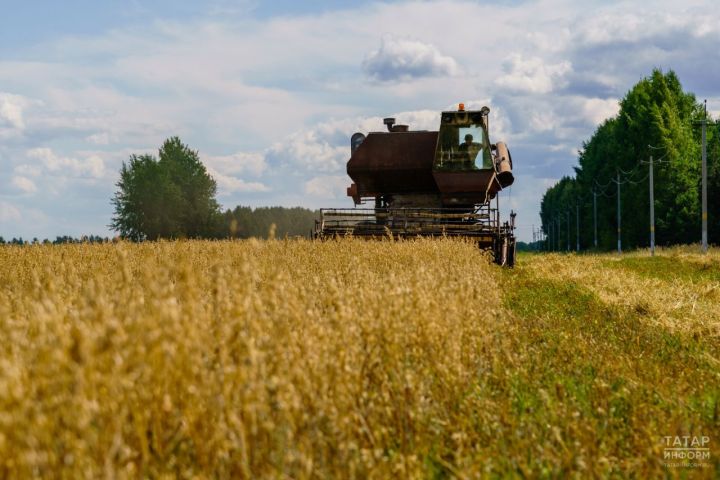 Рустам Минниханов август вӗçӗччен тыр-пула пухса кӗртме хушнă