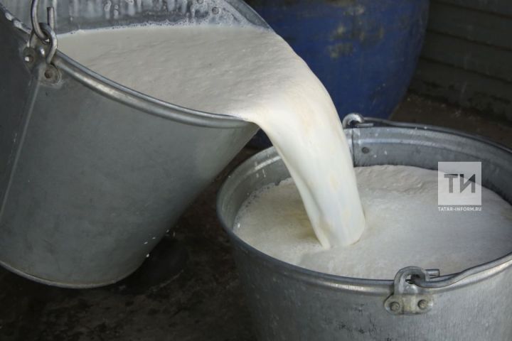 Татарстан вошел в число регионов, обеспечивших наибольший прирост производства молока