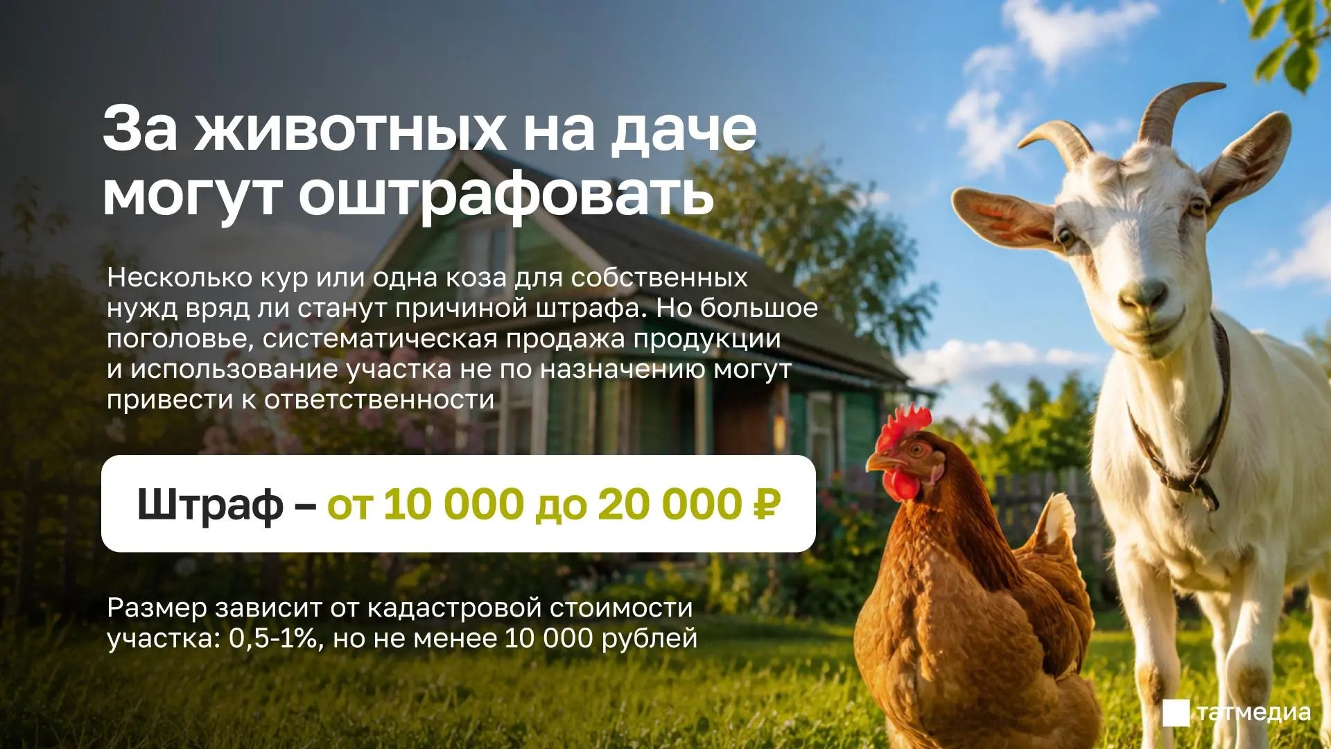 Фото: «ТАТМЕДИА» АОн МАКСри каналӗнчен.