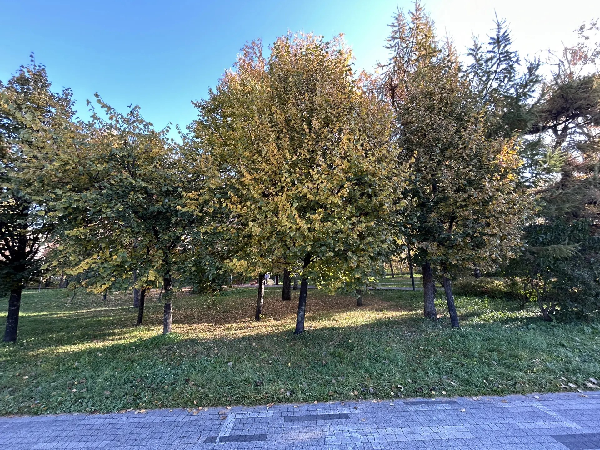 Фото Оксанаы Бердниковой.