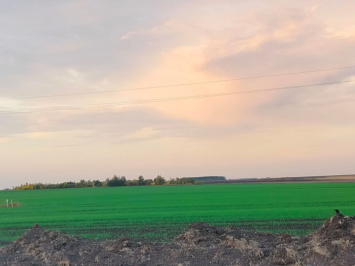 Ытларикун асăрхануллă пулмалла