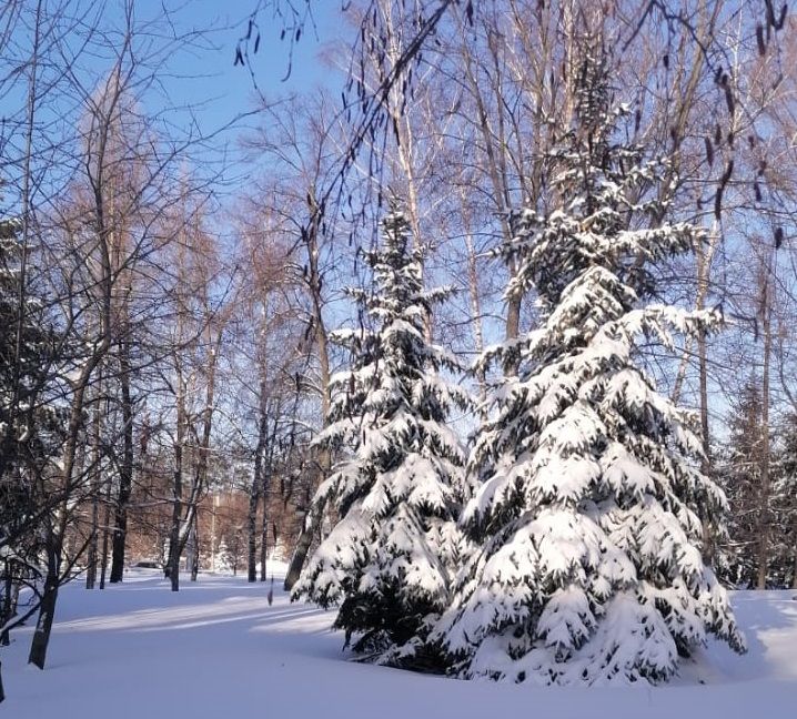 Халăх календарĕ