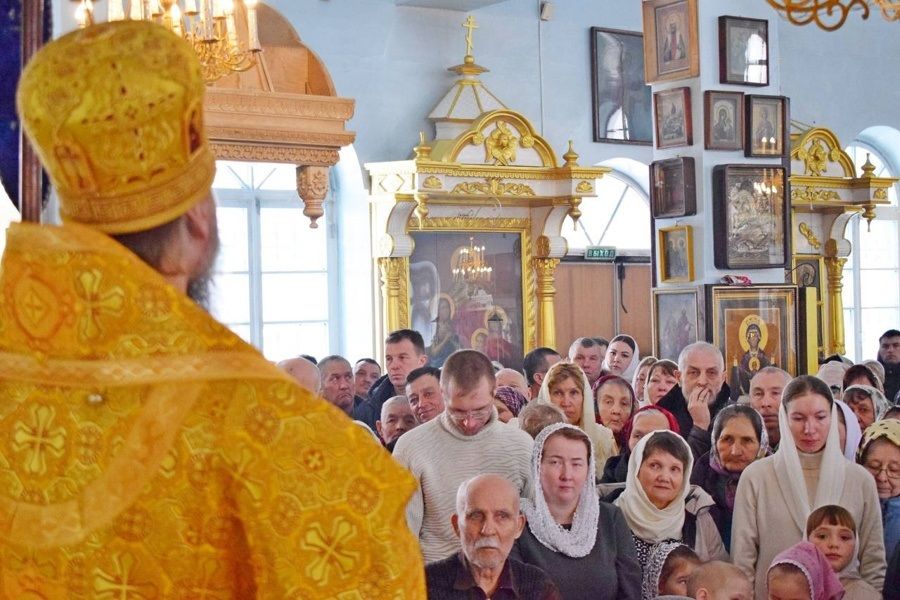 «Шурă тутăрсем» акци