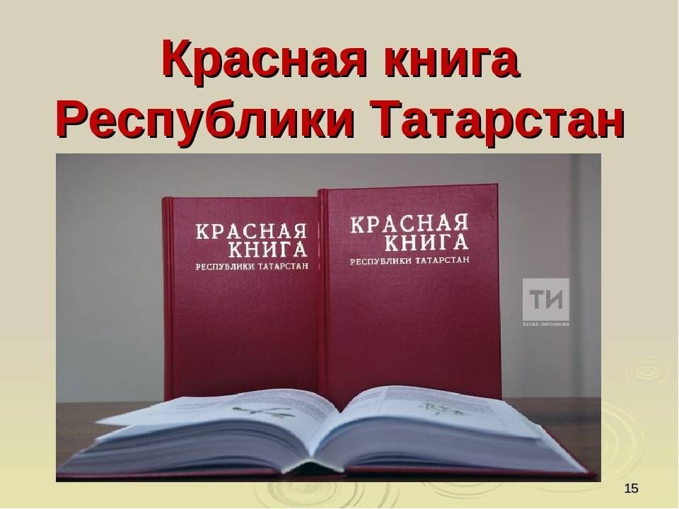 Утаман тек Хӗрлӗ кӗнекере мар