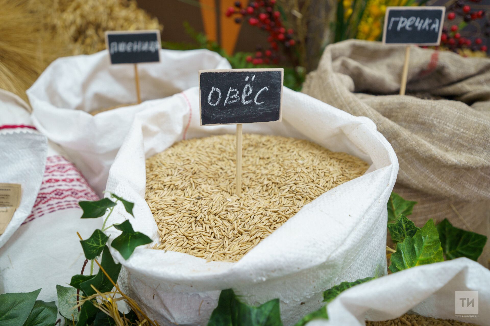 Сăтăрçăсем сиен кӳрекен тырра ют çӗршывсене сутма çук