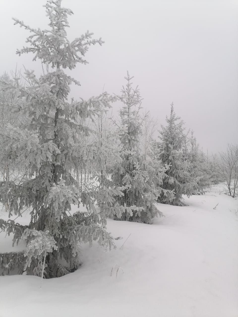 Халăх календарӗ