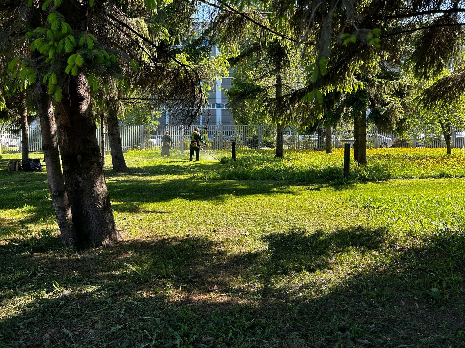Çак кун çумăр çусан уйăх вӗçленичченех йӗпе-сапа пулать