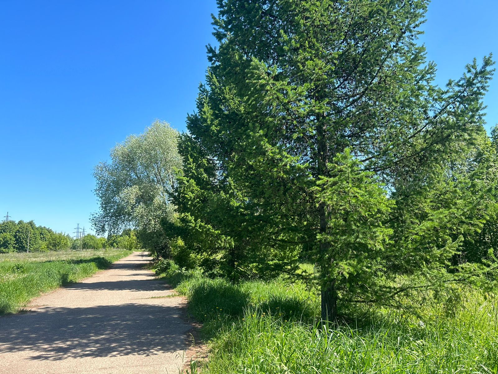 Паян куççуль кăларма юрамасть