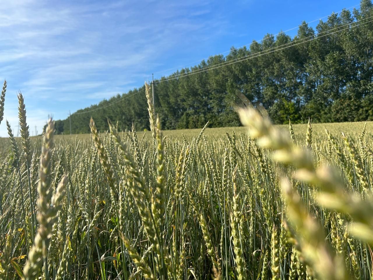 Паян хирте ӗçлеме юрамасть