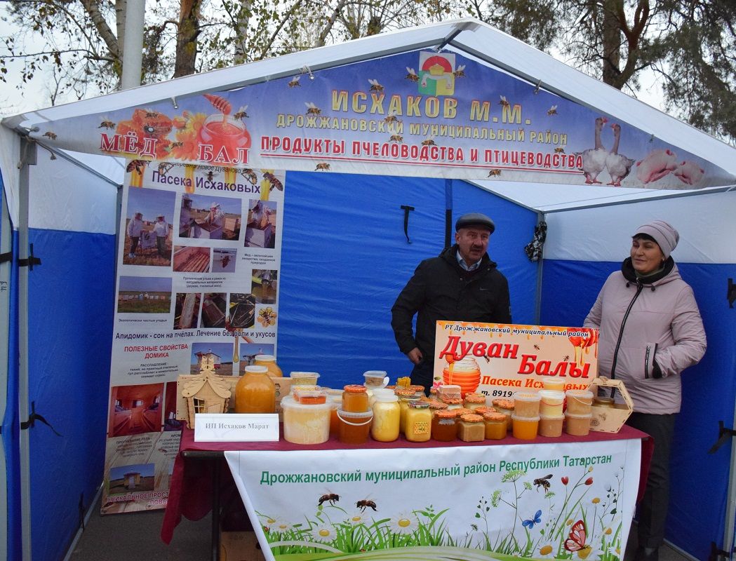 Хушма хуçалăхсене пулăшасси патшалăх политики шайӗнче