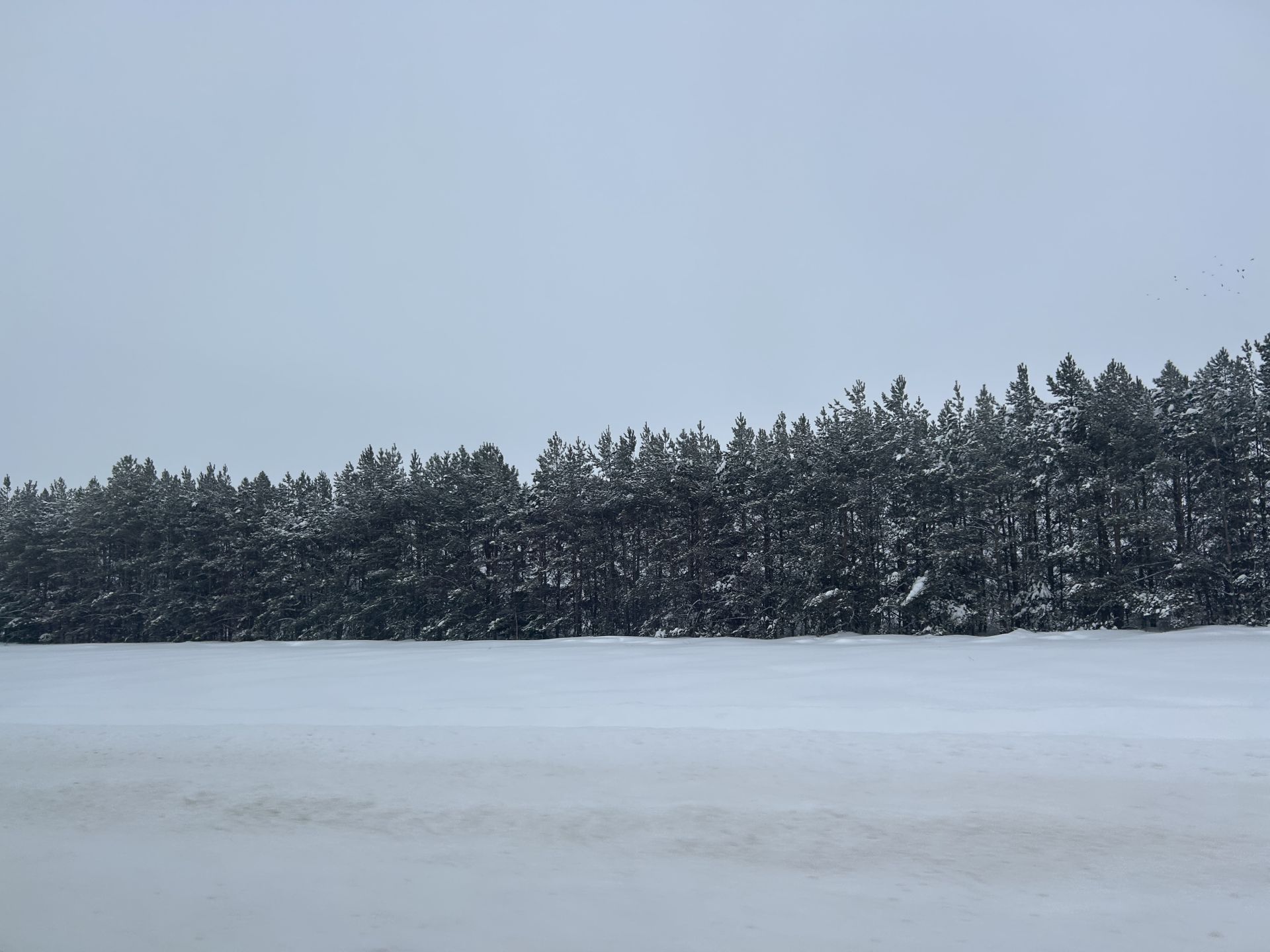 Паян юр çусан çулла çумăрлă пулать