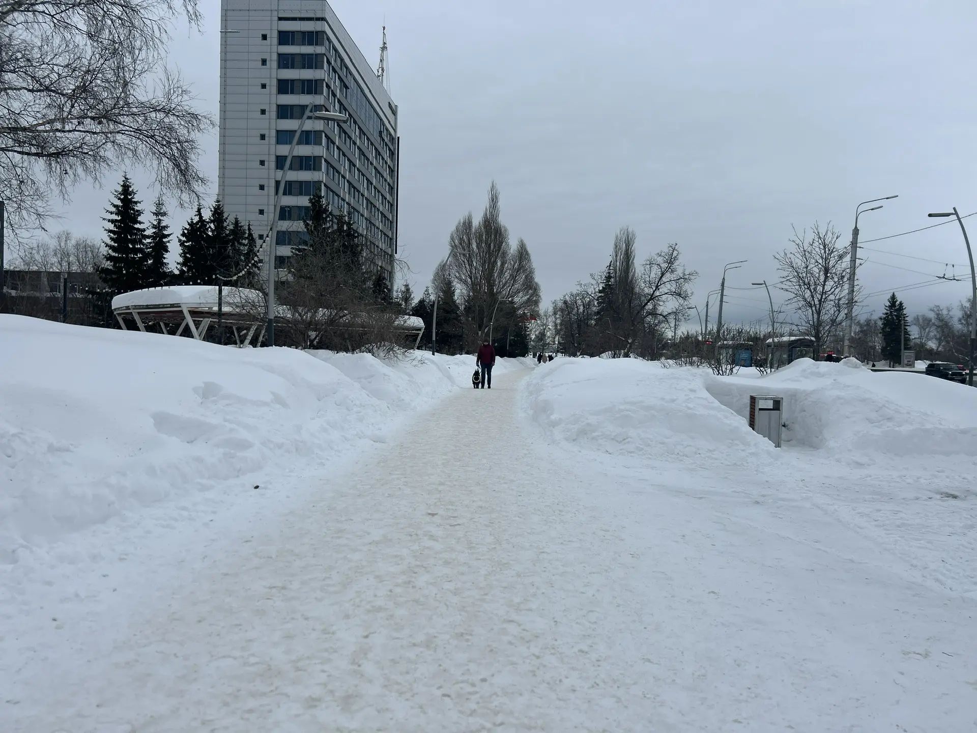 Паянтан сивӗсем йăвашланма пуçлаççӗ