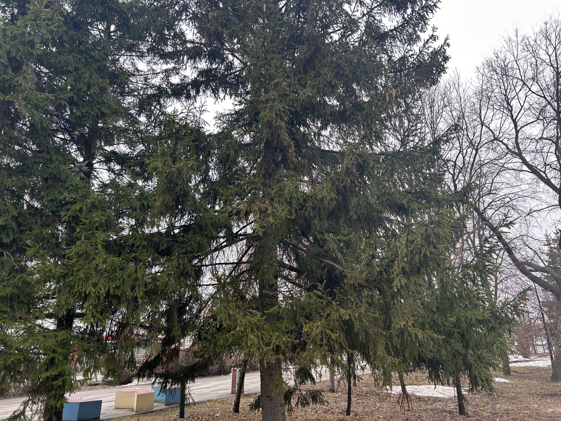 Каçпа ăшă-тăк – çуркунне те ăшă пулать
