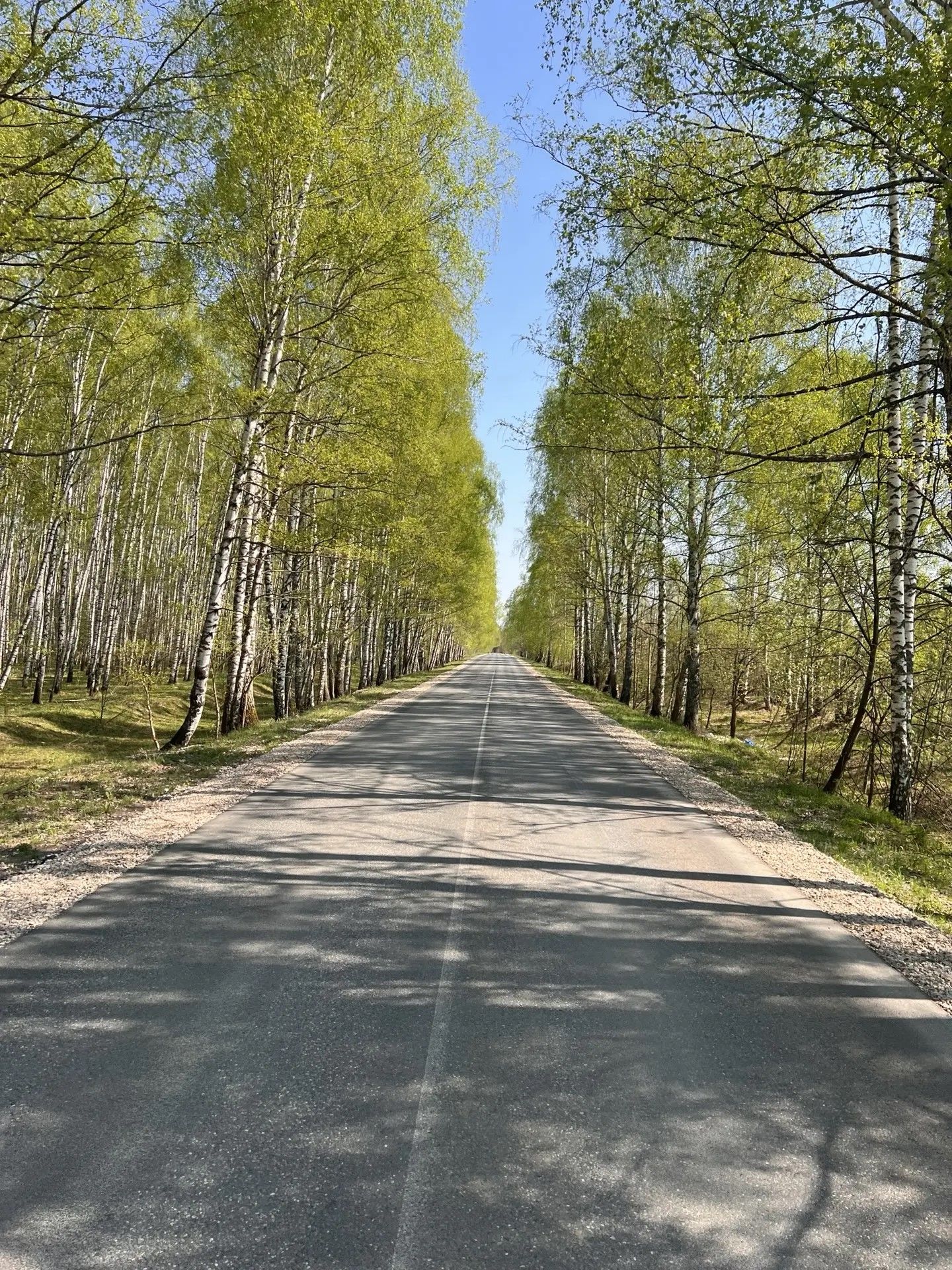 Пилеш ир чечеке ларсан – сӗлӗ тухăçлă пулать