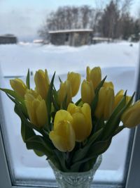 Карьера картлашкипе хӑпарма меллӗ вăхăт