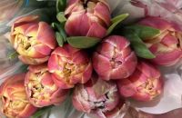 Историри хӗрарăмсен пӗлтерӗшӗ