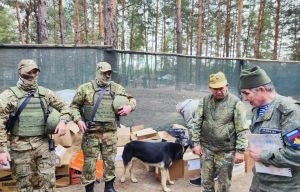 Тимлӗхе пӗр çеккунта та çухатмалла мар унта