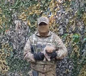 Балу. Комбат.  Истори малалла тăсăлать