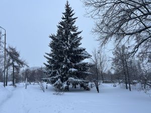 Халăх календарĕпе паян Ефим кунӗ