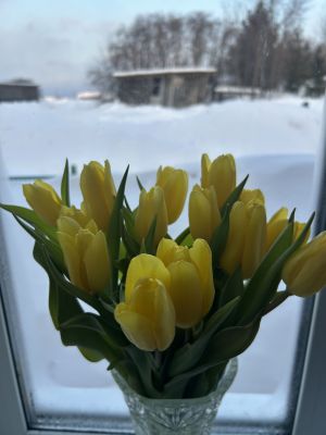 Карьера картлашкипе хӑпарма меллӗ вăхăт