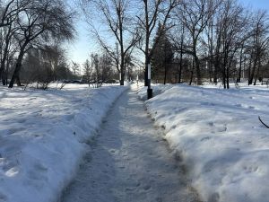 Шăнкăрчсем вӗçсе килнӗ-тӗк – кӗçех ăшăтать