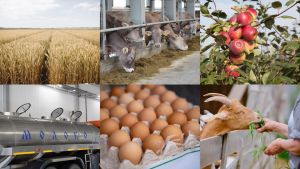 Тутарстан чи лайăх хуçалăхпа хуçана суйлать