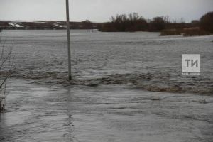 Тутарстанра ейӳ вăйлă пулма пултарать