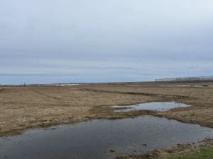 Сывлăхлă пурăнас тесен çак кун çӗнӗ тум туянмалла тет