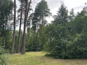 Куккук кунӗпе авăтать-тӗк – ăшă кунсем вăраха тăсăлаççӗ