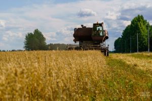 Рустам Минниханов август вӗçӗччен тыр-пула пухса кӗртме хушнă