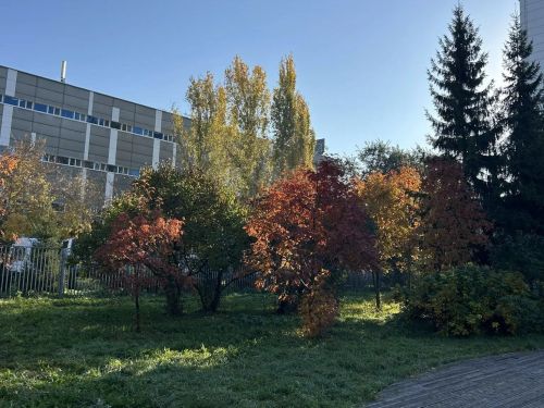 Çанталăка сăнанинччен