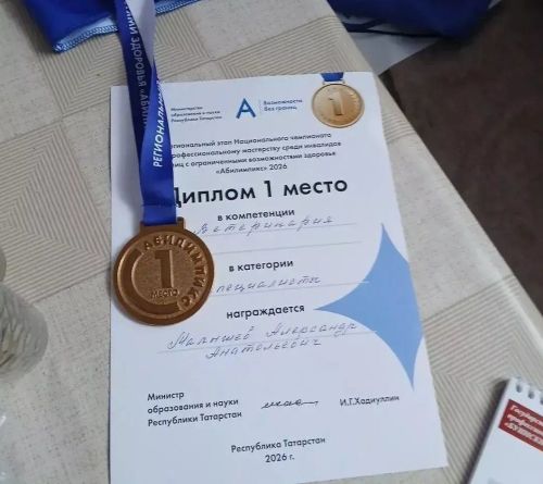Александр Малышев «Абилимпикс» конкурсӑн регионти тапхӑрӗнче çӗнтернӗ