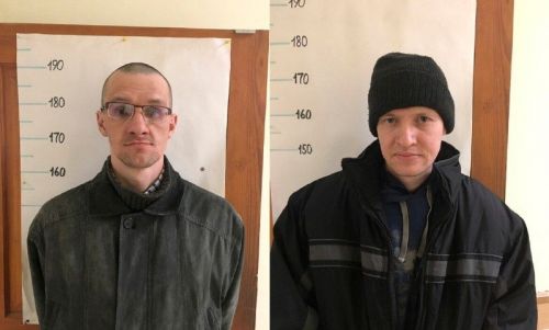 Хусанти психбольницăран тарнă вăрă-хурахсене тытса чарнă