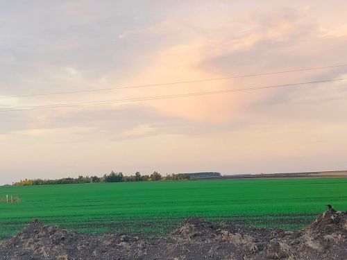Ытларикун асăрхануллă пулмалла