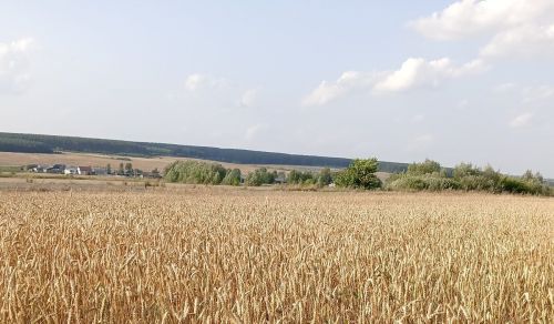Килес çул тухăç пулмасть-ши?